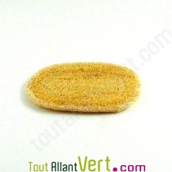 Porte savon Luffa