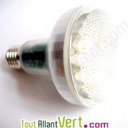 Lampe Rflecteur Plein Spectre 7W eq. 35W embase E14 lumire blanche