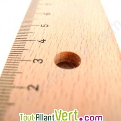 Règle en bois en hêtre non traité 20 cm - Double décimètre