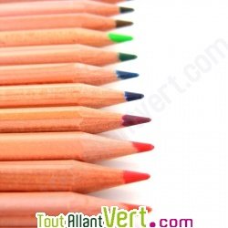 Boite de 12 crayons de couleurs bois certifié