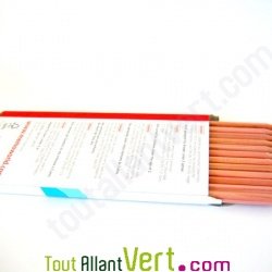 Boite de 12 crayons de couleurs bois certifié