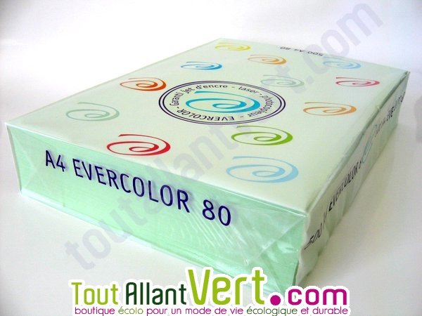 Papier couleur A4 recyclé Evercolor - 80 g - vert clair - ramette 500  feuilles 