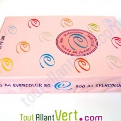 Papier A4 Evercolor 80g/m2 Couleur Rose, Bloc de 500 feuilles
