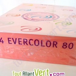 Papier A4 Evercolor 80g/m2 Couleur Rose, Bloc de 500 feuilles