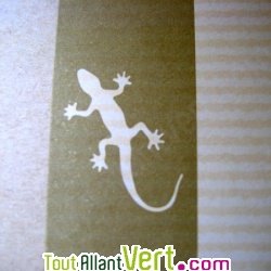 Classeur cologique  levier 2 anneaux dos 7,5 cm
