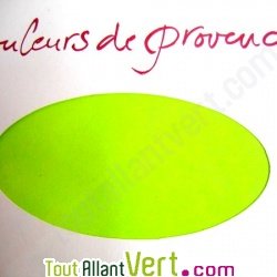 Ramette Couleurs de Provence 30 feuilles recycles 175g vert