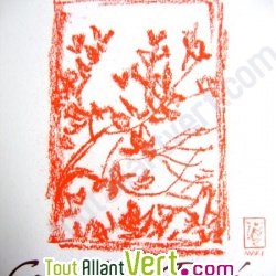Carnet dessin blanc recycl 40 feuilles A5
