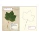 Presse  feuilles et fleurs en bois, Moulin Roty