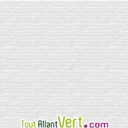 Papier  lettre aspect Conservation A4 100 feuilles 100g Blanc